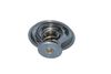 Termostat, chladivo 725072