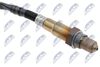 ESL-BM-011_2-WM.JPG