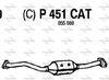 P451CAT.JPG