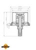 Termostat, chladivo 725029