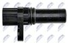 ECP-HD-001_3-WM.JPG
