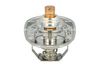Termostat, chladivo 725393