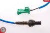 SKV_09SKV075_WM_02.JPG