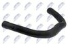 GPP-AR-003_2-WM.JPG