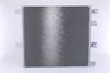 NISSENS_I940494.JPG