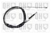 QH_BC4167.JPG