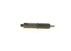 Bosch Nozzle and Holder Assembly 0986430056