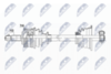 NPW-RE-177_9-WM.PNG