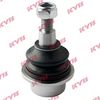 KYB-KBJ4048.JPG