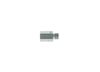 Bosch Fuel Injection System Valve 2 417 413 096