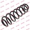 Kayaba Suspension Spring RA6162