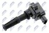 ECZ-FR-025_1-WM.JPG