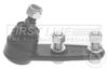 FBJ5438_206846.JPG
