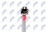 EPS-HD-015_5-WM.JPG