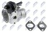 EGR-SK-003_2-WM.JPG