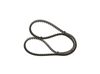 Bosch V-Belt 1 987 947 646 (1987947646)