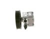 BOSCH Hydraulic Pump, steering K S00 000 132