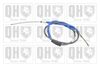 QH_BC2345.JPG