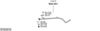 SYS22410.JPG