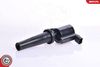 SKV_03SKV122_WM_02.JPG