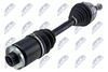 npw-vw-208_1-wm.JPG