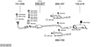 SYS10079.JPG