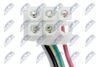 EPE-DW-007_7-WM.JPG