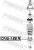CRSI-SEBR_1.JPG