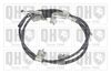 QH_BC4316.JPG