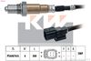 498 153-KW.JPG