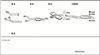 mb50006a_5232773.JPG