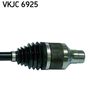 VKJC 6925_3.JPG