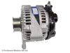 ADT311169_1.JPG