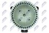 EWN-MS-005_4-WM.JPG