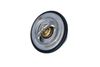 205_725096.ZIP