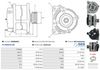 A0288(SEG)_256960.JPG