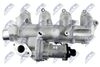 EGR-FR-012_4-WM.JPG