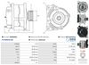A0368(SEG)_256960.JPG