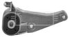 BEM4103_210879.JPG