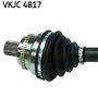 VKJC 4817_2.JPG
