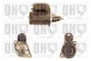 QH_QRS1272_GRUPPE.JPG