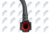 BPP-CT-011_3-WM.JPG