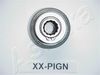CP-PIGN_2.JPG
