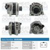 5535388.JPG