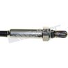 250-23503_2.JPG