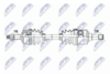 NPW-FT-104_9-WM.PNG