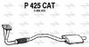 P425CAT.JPG