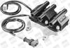 Beru Ignition Coil ZSE007