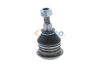 162_V52-9555.ZIP