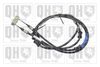 QH_BC2417.JPG